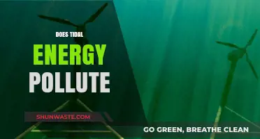 Tidal Energy: Pollution or Clean Power?