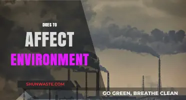 How Human Activities Impact the Environment: Causes and Consequences