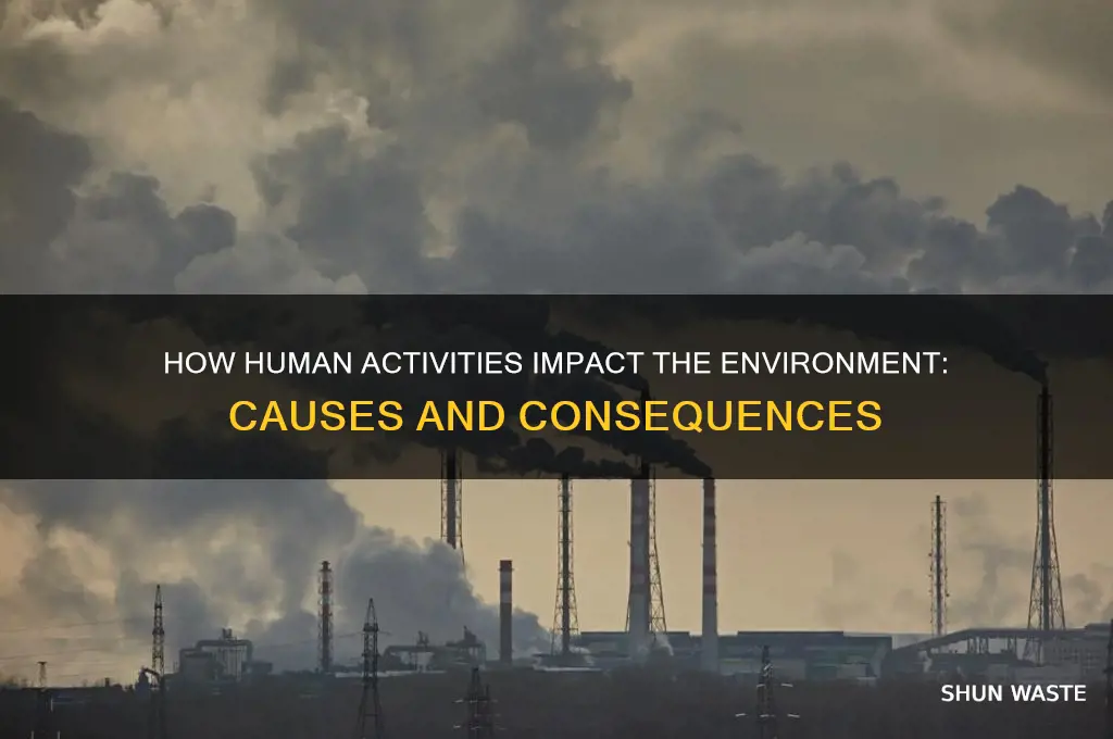 does to affect environment
