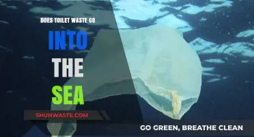 Does Toilet Waste End Up in the Ocean? Exploring the Truth