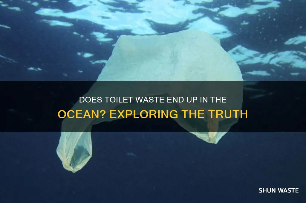 does toilet waste go into the sea