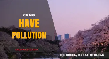 Tokyo's Pollution Problem: Is the City Polluted?