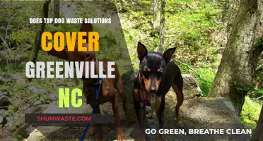 Top Dog Waste Solutions Coverage in Greenville, NC: What You Need to Know