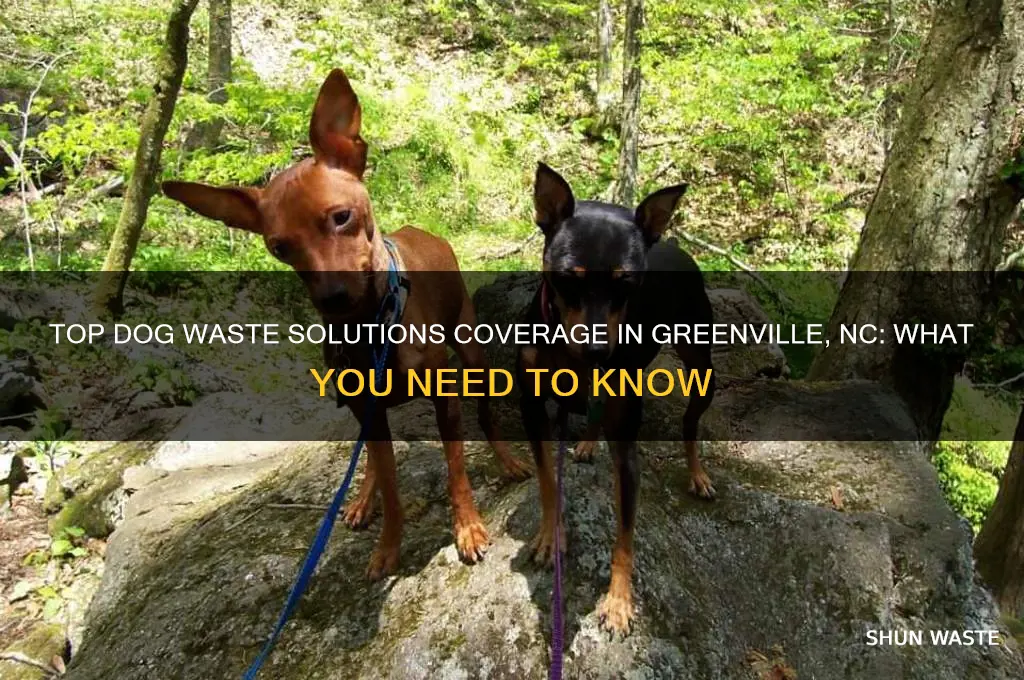 does top dog waste solutions cover greenville nc