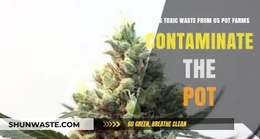 Toxic Waste from US Pot Farms: Contaminating Cannabis?