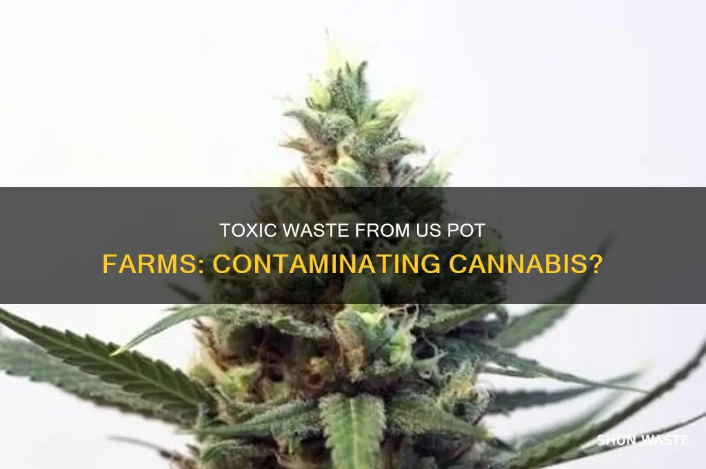 does toxic waste from us pot farms contaminate the pot