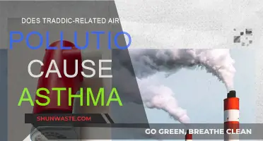 Air Pollution's Asthma Link: Unveiling the Traddic Impact