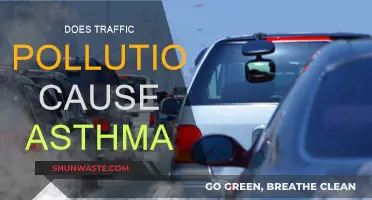 Traffic Pollution's Impact on Asthma: Unveiling the Connection