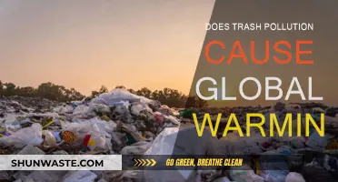 Trash Pollution: A Hidden Driver of Global Warming