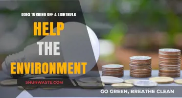 Turning Off Lightbulbs: Small Act, Big Impact on Our Environment?