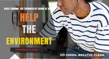 Lowering Thermostat at Night: Eco-Friendly Choice or Myth?
