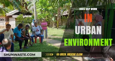 Does UCP Effectively Enhance Safety in Urban Environments?