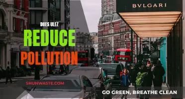 ULEZ: Effective Pollution Reduction or Misguided Policy?