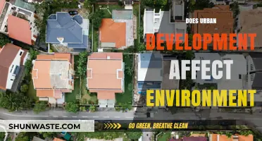Urban Development's Environmental Impact: Challenges and Sustainable Solutions