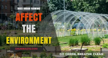 Urban Farming's Environmental Impact: Sustainable Solution or Hidden Challenge?