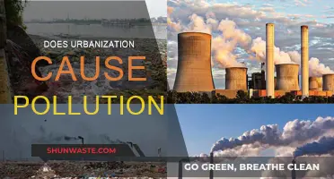 Urbanization's Impact: Unveiling the Pollution Connection