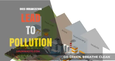 Urbanization's Pollution Problem: Cause and Effect