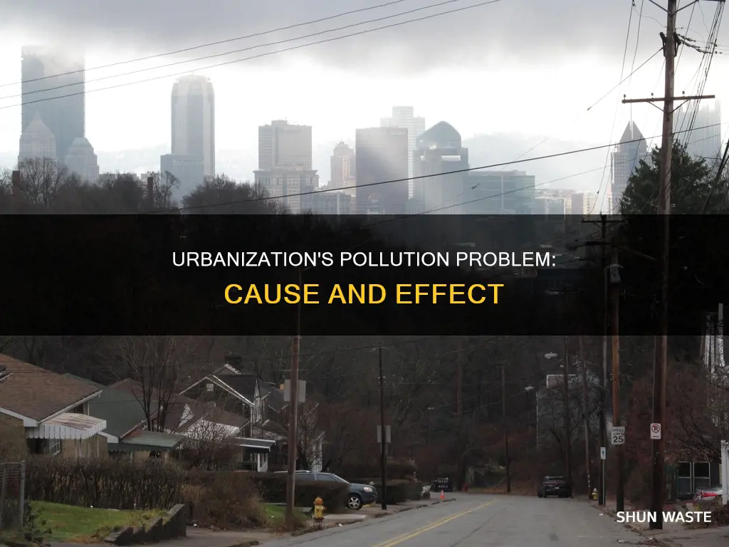 does urbanization lead to pollution