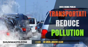 Public Transport: A Green Solution to Pollution?