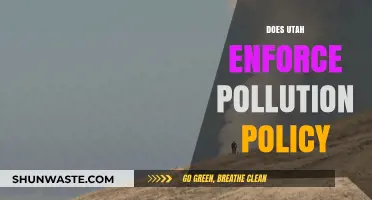 Utah's Pollution Policy: Effective or Empty Promises?