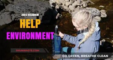 Veganism's Environmental Impact: Sustainable Choice or Overhyped Trend?