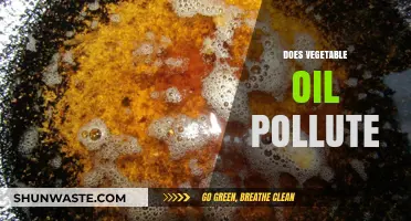 Vegetable Oil: A Green or Polluting Alternative?