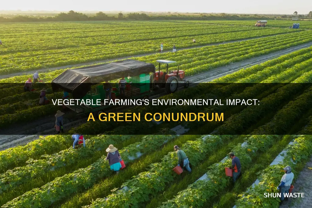 does vegitable farming cause pollution