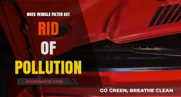 Vehicle Filters: Effective Pollution Solution?