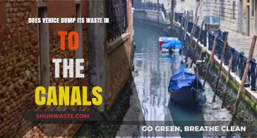 Venice's Canal Waste Disposal: Fact or Fiction?
