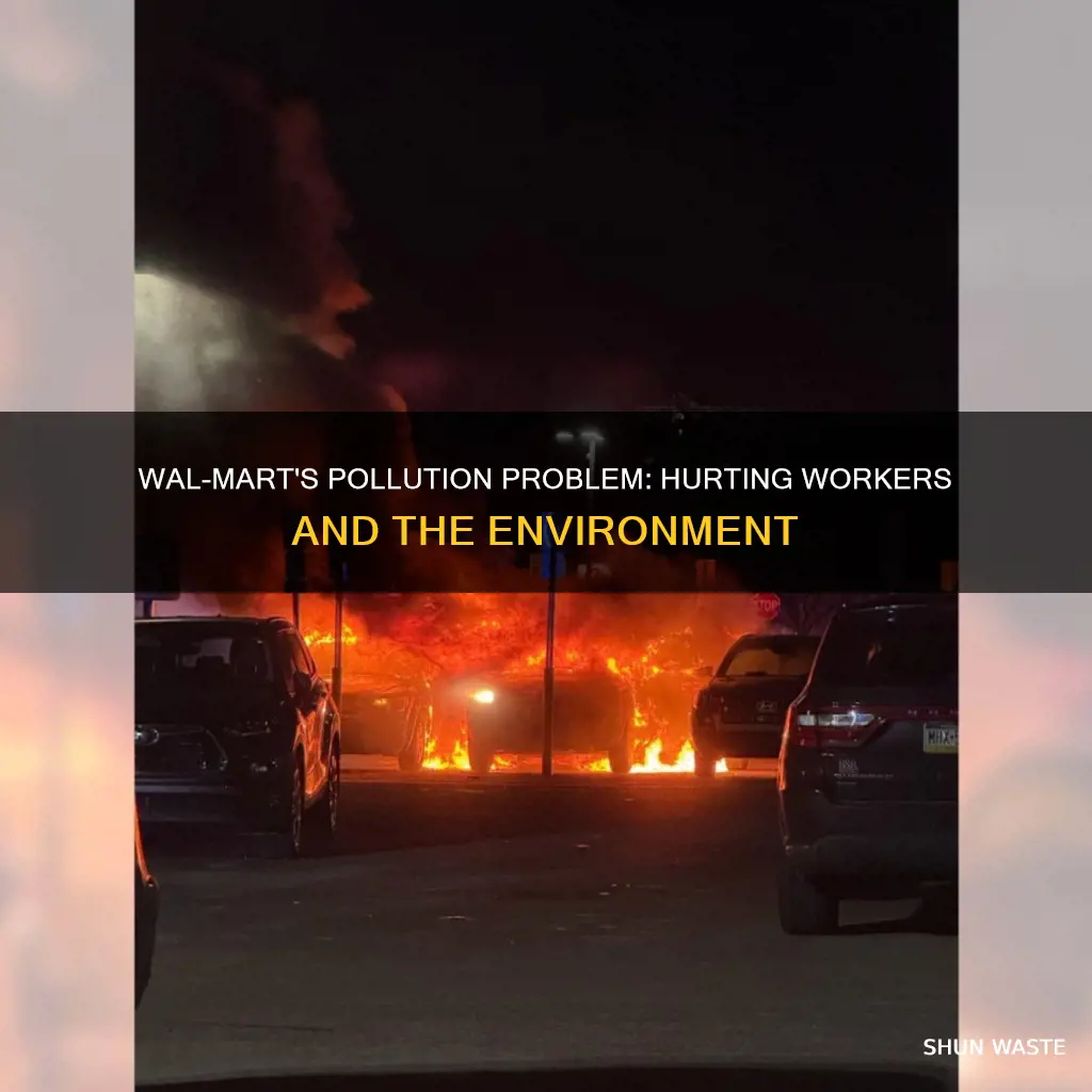 does wal mart pollute more than its workers