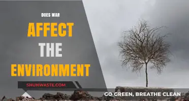War's Devastating Impact: How Conflict Destroys Our Environment and Ecosystems