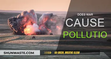 War's Environmental Impact: A Look at Pollution's Role