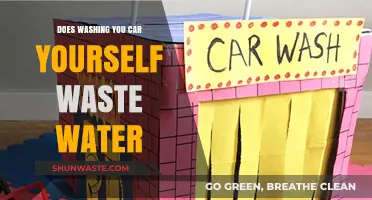DIY Car Washing: Water-Waster or Eco-Friendly Choice?