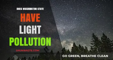 Washington's Night Sky: Light Pollution Impact