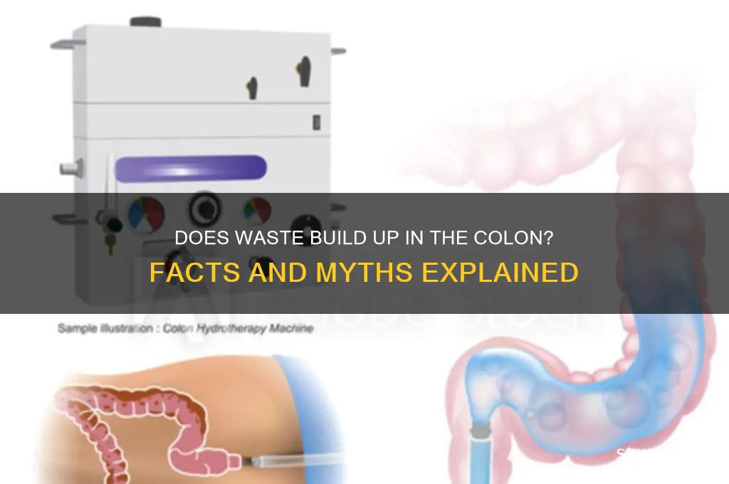 does waste build up in the colon