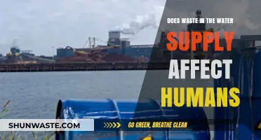 Waste in Water Supply: Hidden Dangers and Human Health Impacts