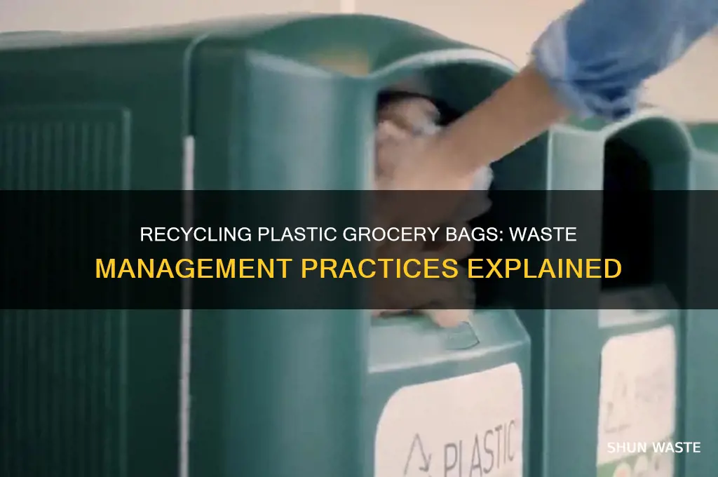 does waste managemtn recycle plastic gorery bags