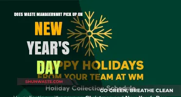 New Year's Day Waste Pickup: What to Expect for Trash Collection