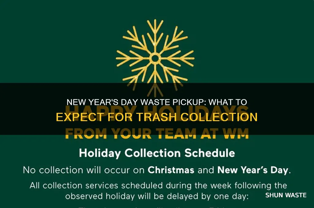 does waste managernnrt pick up on new year