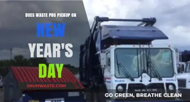 Waste Pro New Year's Day Pickup: What You Need to Know