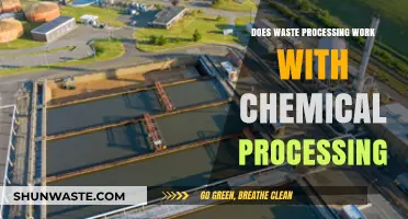 Chemical Processing and Waste Management: A Sustainable Synergy?
