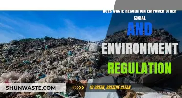Waste Regulation's Ripple Effect: Boosting Social and Environmental Policies?