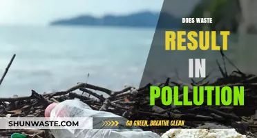 Waste and Pollution: The Impact of Trash on Nature