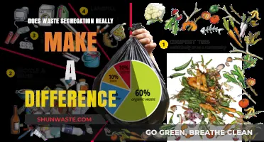 Waste Segregation: A Small Step with Big Environmental Impact?