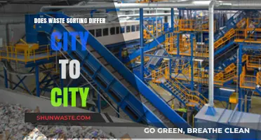 Urban Recycling Variations: How Waste Sorting Practices Differ Across Cities