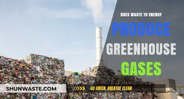 Waste-to-Energy: Greenhouse Gas Emitter or Climate Solution?