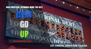 Wasteful Spending and US Debt: A Costly Connection Explored
