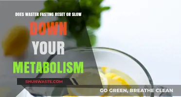 Water Fasting and Metabolism: Reset, Slow Down, or Myth?