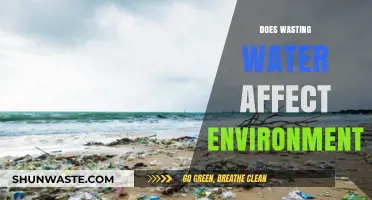 Wasting Water: Unseen Environmental Impacts and Urgent Conservation Needs