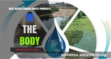 How Water Eliminates Toxins and Waste in Your Body